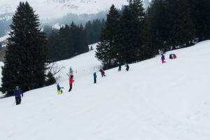 Freeridekurs